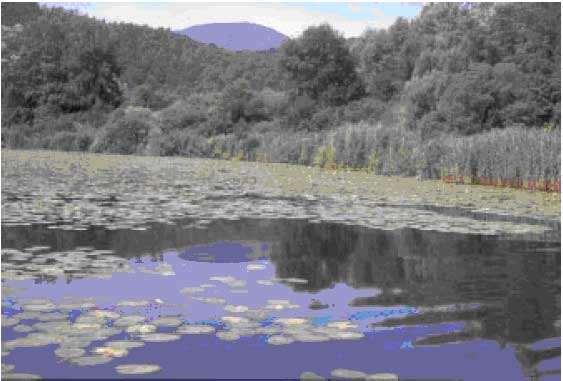 Laghi.....dell'' UMBRIA